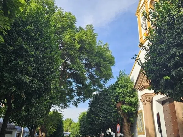 Chalet pareado en Plaza San Gonzalo, 23, Barrio León - Foto 2