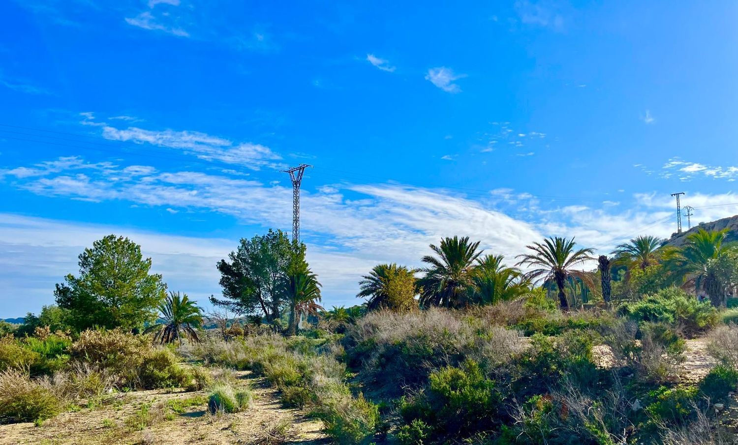 Finca rústica en camino Viejo de Saladas, 2 - Foto 18