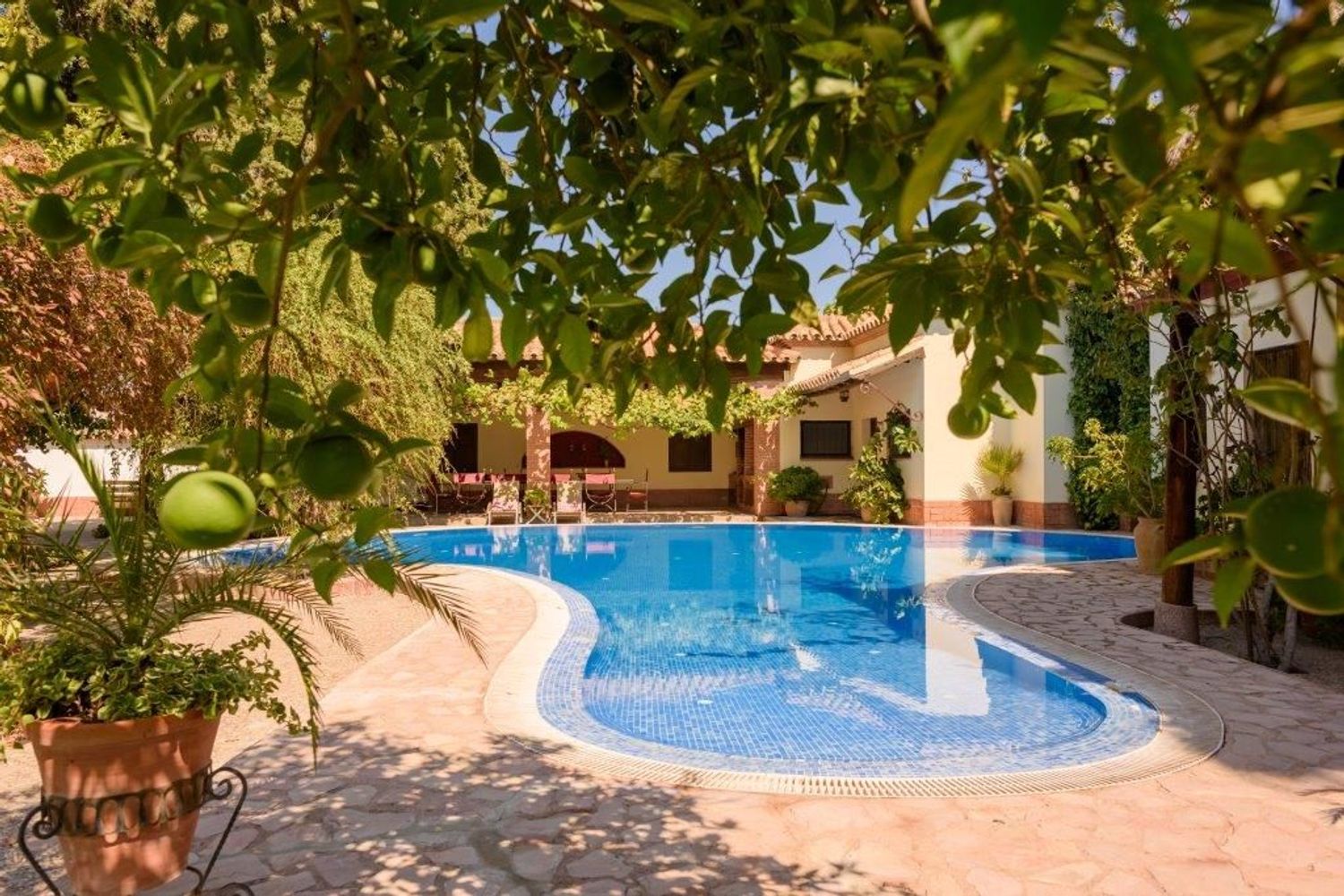 Casa o chalet independiente en Calle Jesús del Gran Poder, 1 - Foto 33