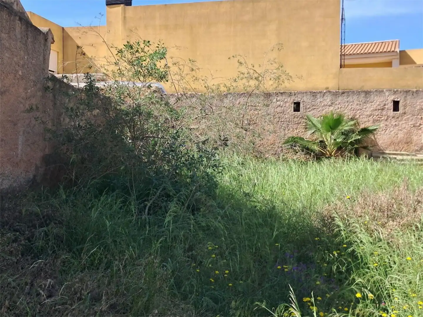 Terreno Residencial en  Calle Antonio Pascual 25 - Foto 2