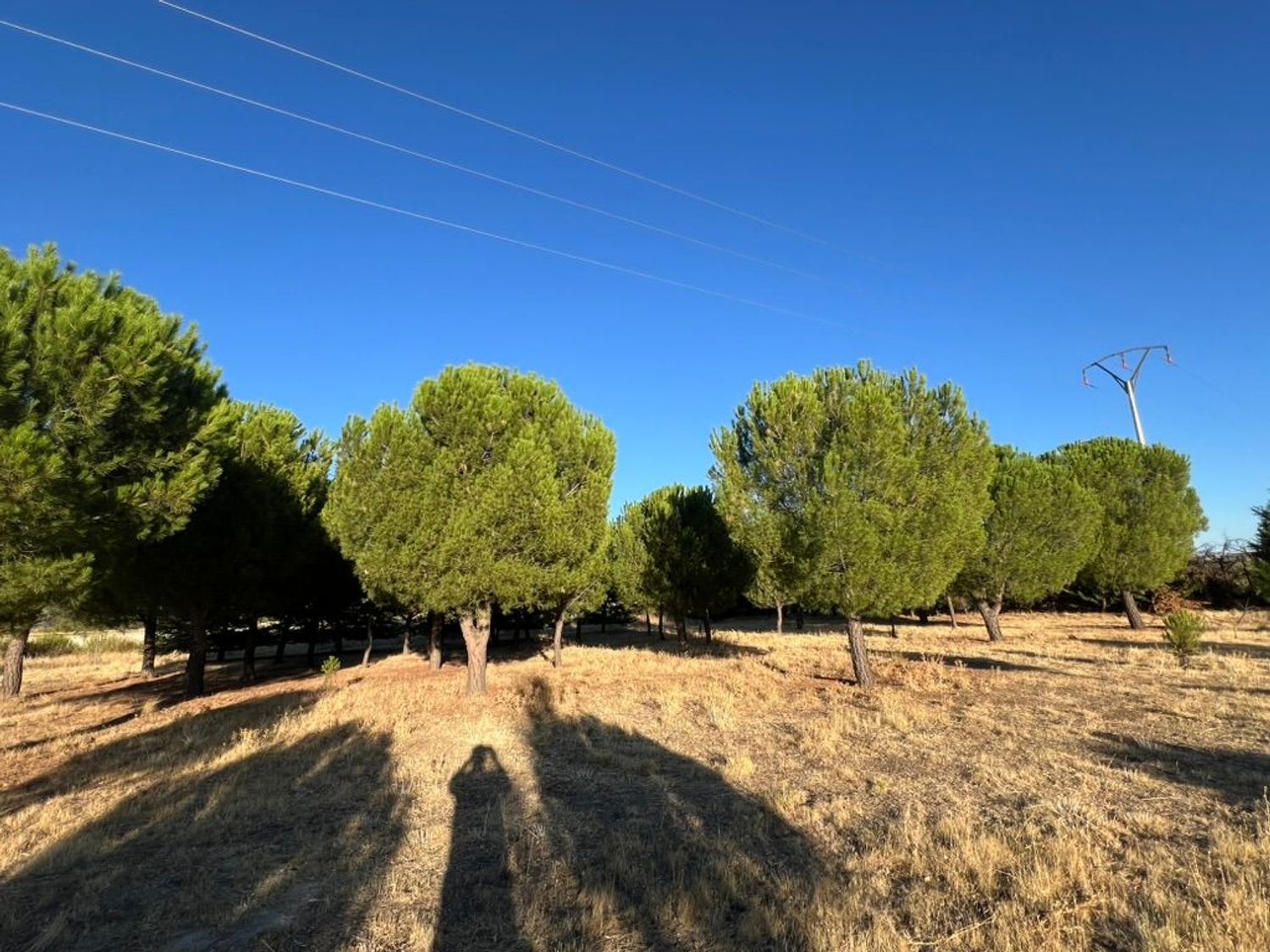Casa rural en N-6, 100 Km - Foto 11