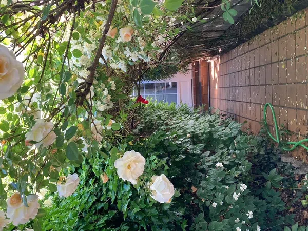 Chalet adosado en Alpedrete - Foto 33