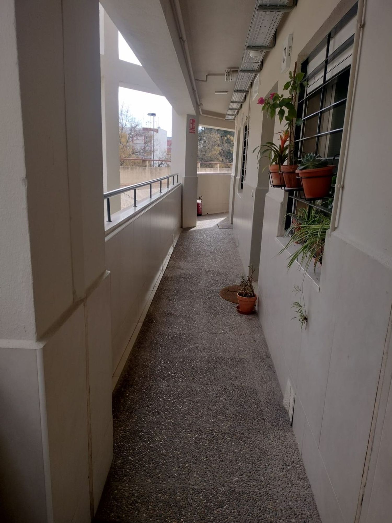 Dúplex en calle Juan de Pineda, 61 - Foto 33