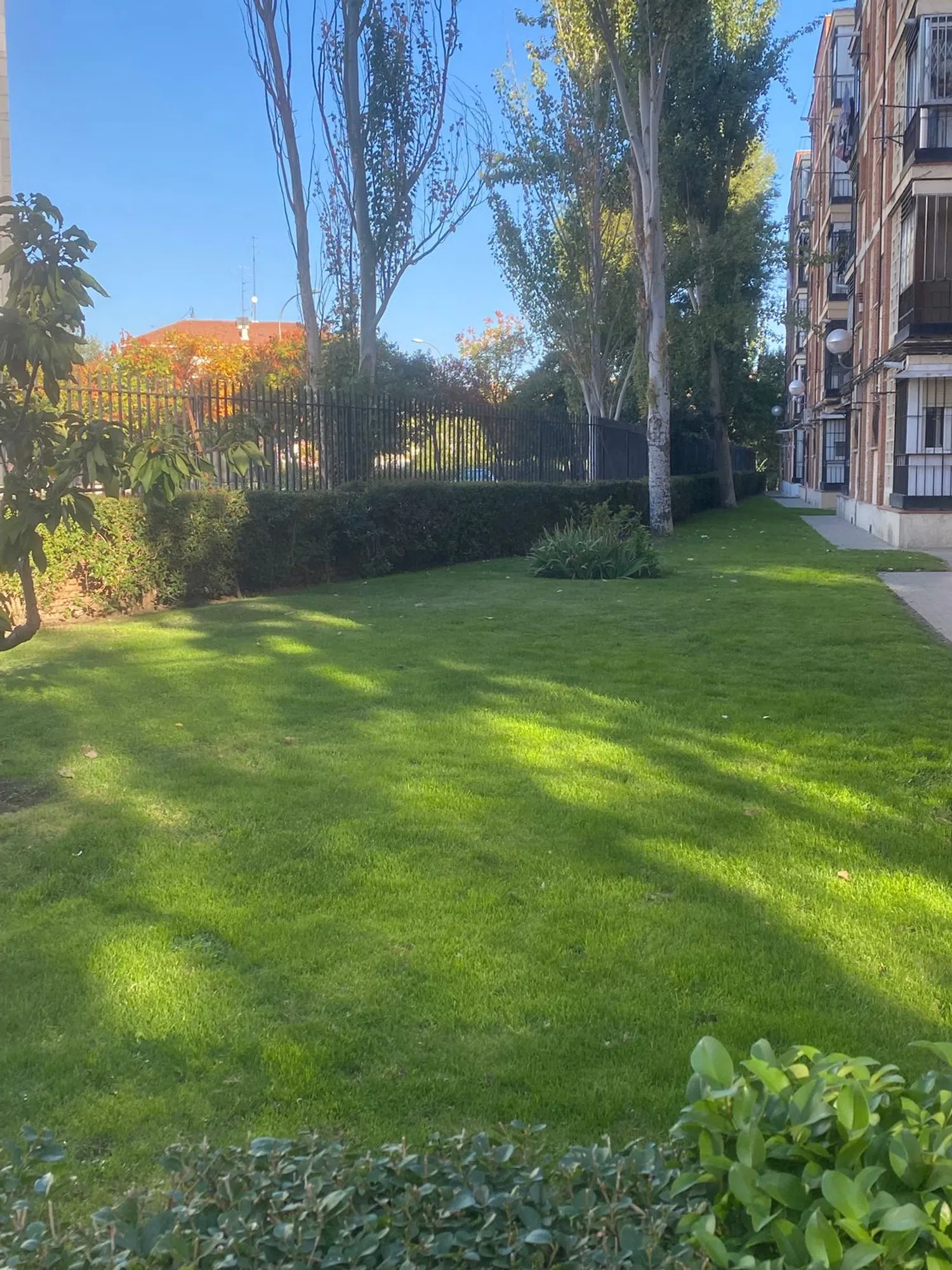 Piso en avenida del Padre Piquer, 10 - Foto 7