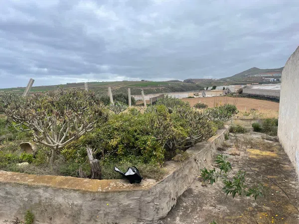 Casa terrera en Camino Llanos de Parra, 26 - Foto 6