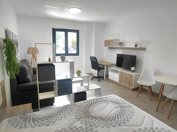 Estudio en calle Circo, 6 - Foto 12