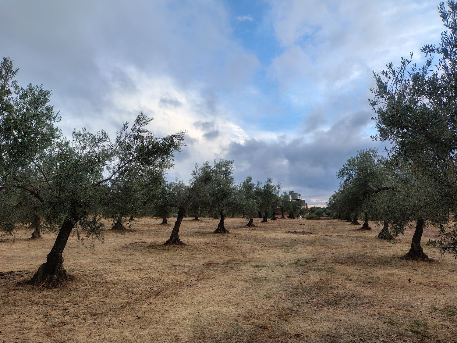 Cortijo en Cortijo en Ex-323 s/n - Foto 31