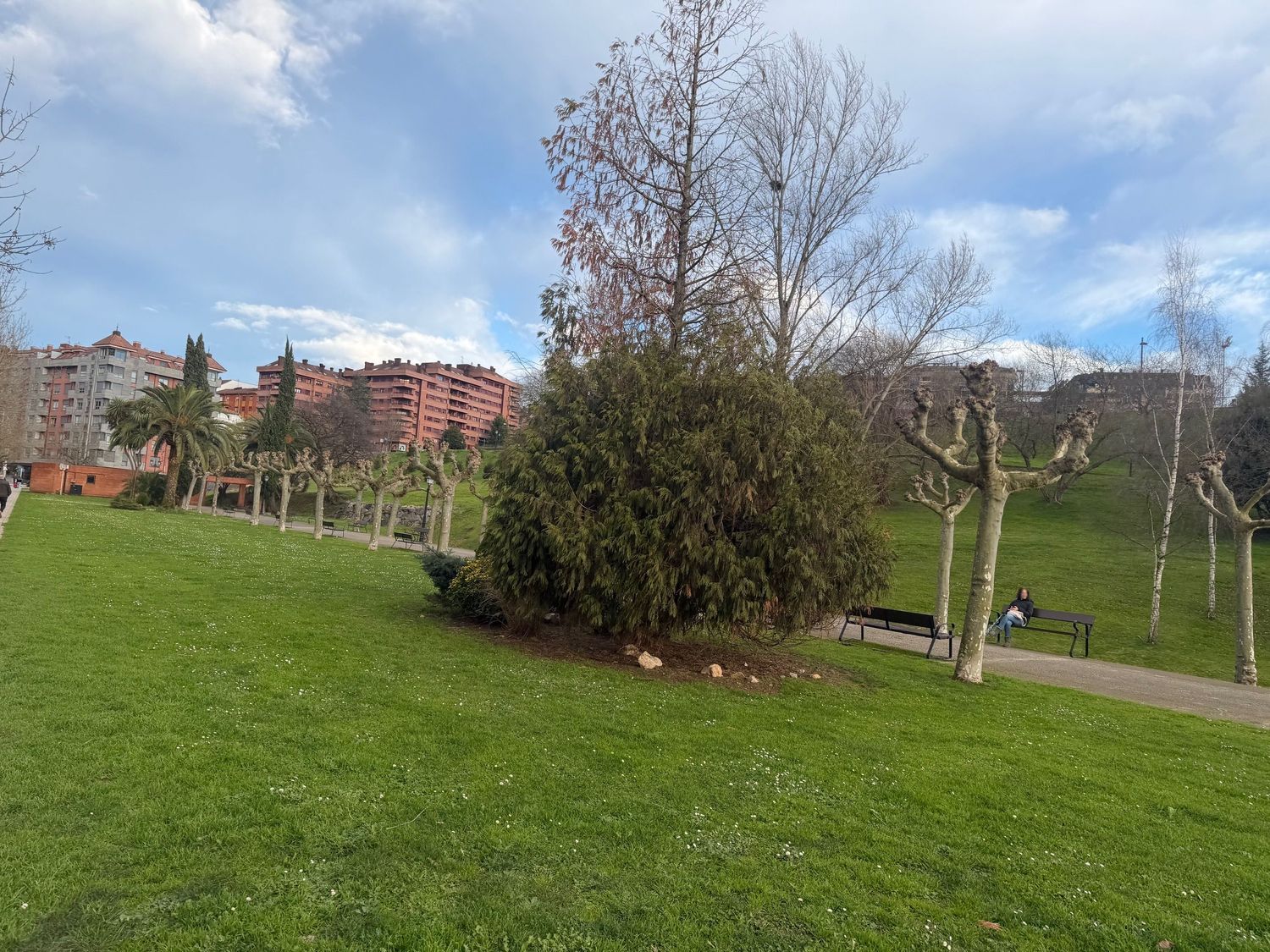 Piso en Barrio Parque del Oeste - Foto 3