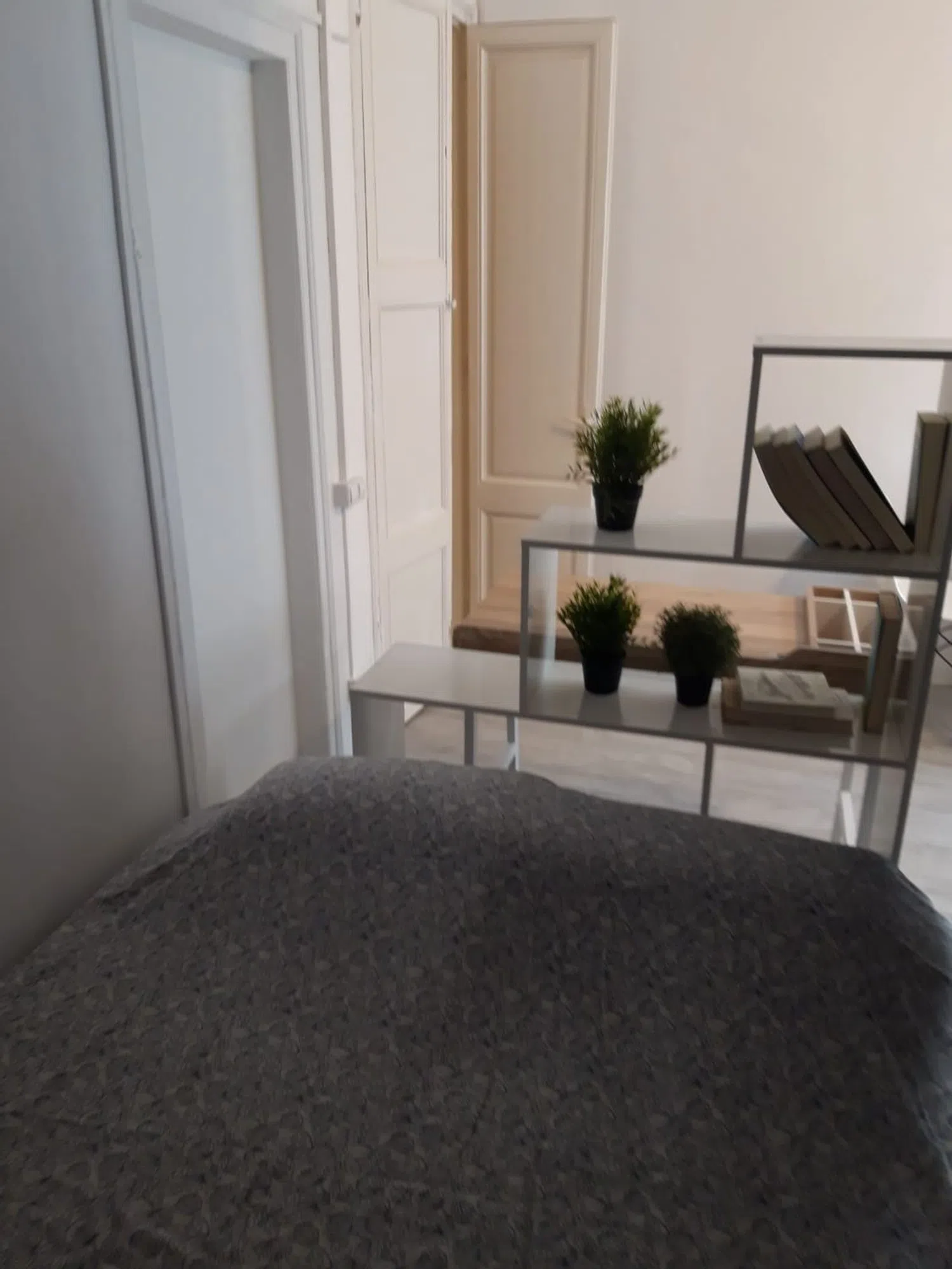 Estudio - Foto 7
