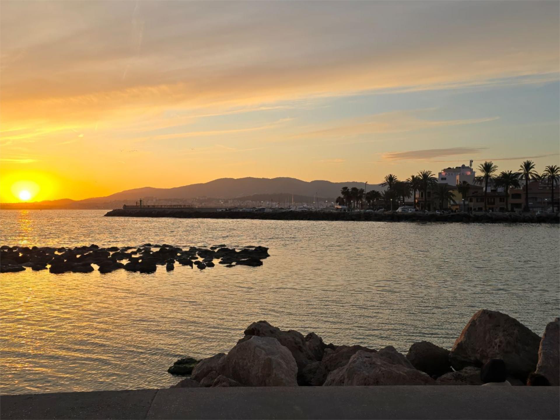 Piso en avenida Avinguda Mèxic 7 - Foto 78