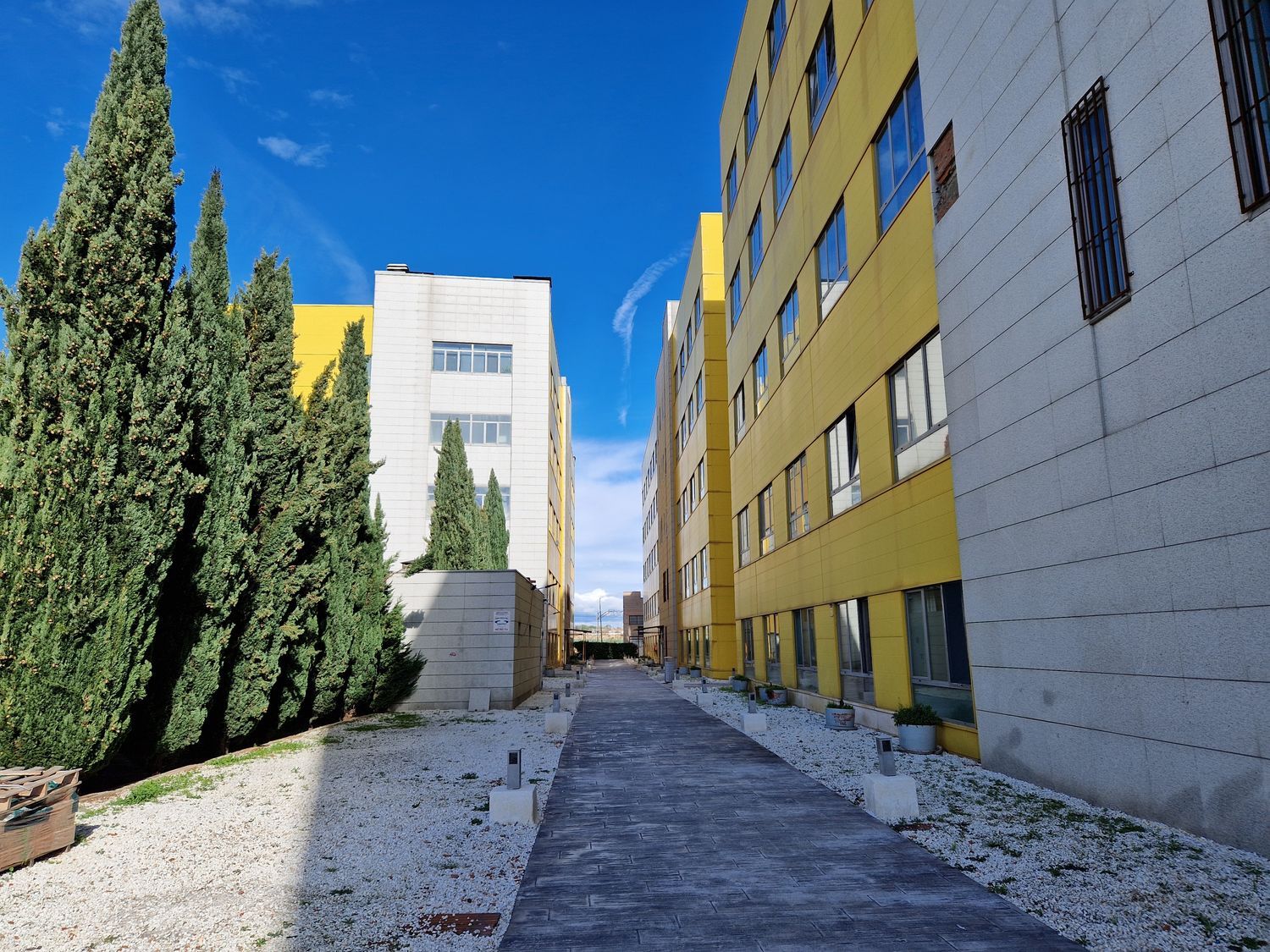 Estudio en calle de Francisco Aritio, 166 - Foto 1