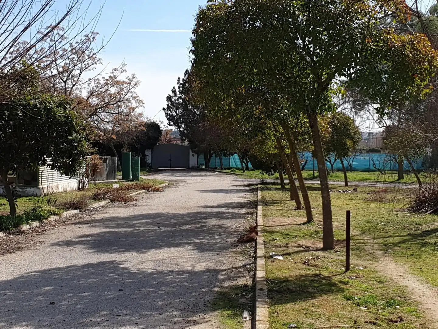 Finca rústica en  Urbanización las Encinas 12A - Foto 6
