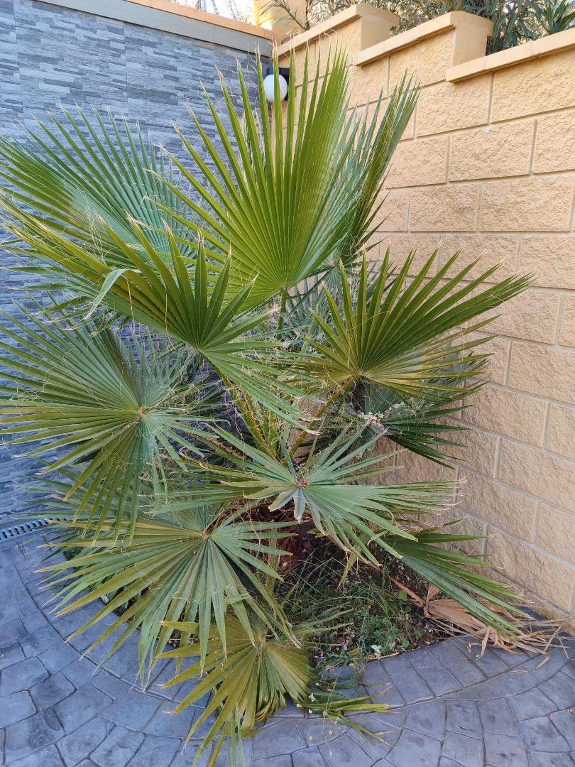 Apartamento en  Camino la Bolaera 13 - Foto 28