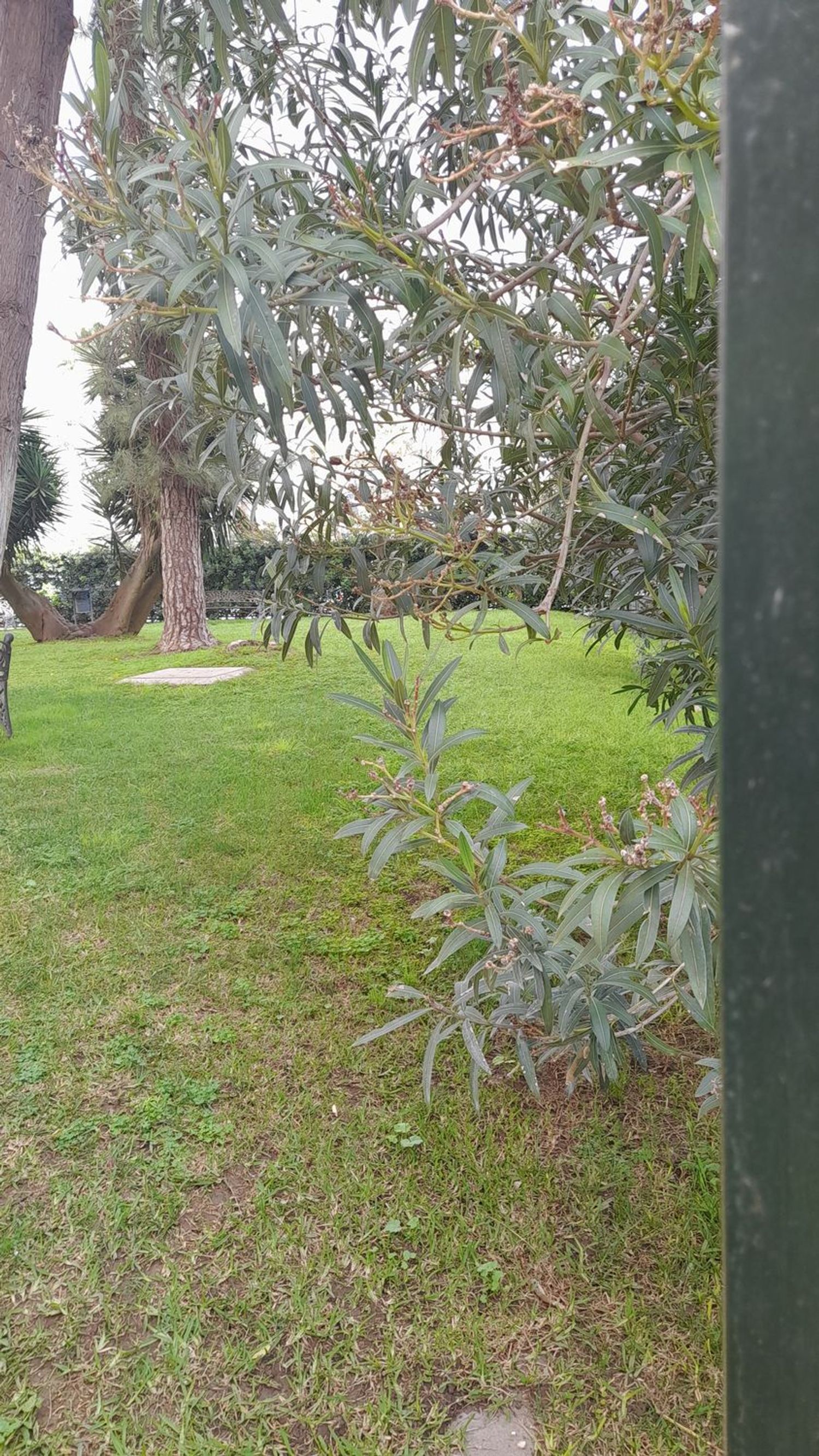 Piso en plaza del Caballo, 1 - Foto 29