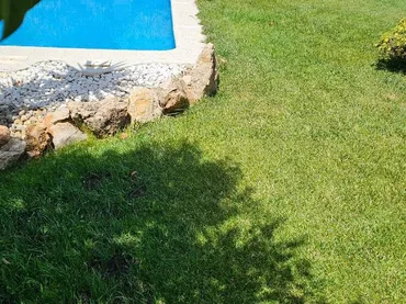 Chalet en  Carrer Cirerer 21 - Foto 5
