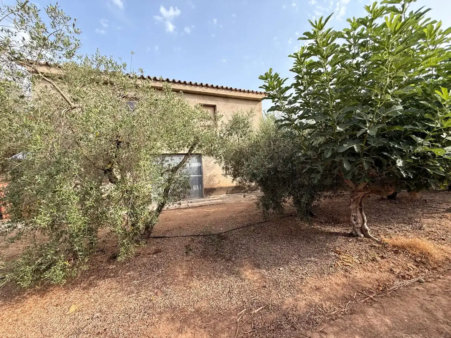 Finca rústica en  Camí de Sant Joan 1 - Foto 9