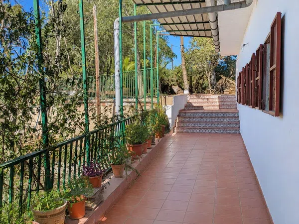 Casa o chalet independiente en Calle Partida del Barranquet, 1 - Foto 8