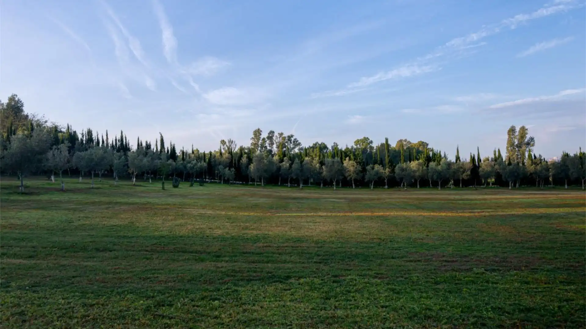 Finca rústica en  Calle Almenara 1 - Foto 5