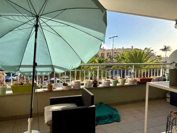 Piso en Avenida del Palmar, 42 - Foto 3