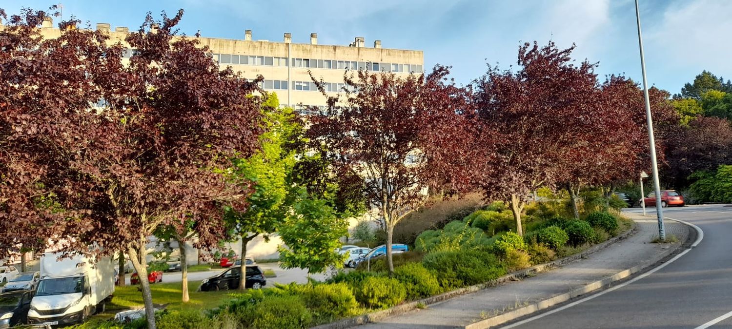 Piso en calle de Luis Iglesias Iglesias, 7 - Foto 23