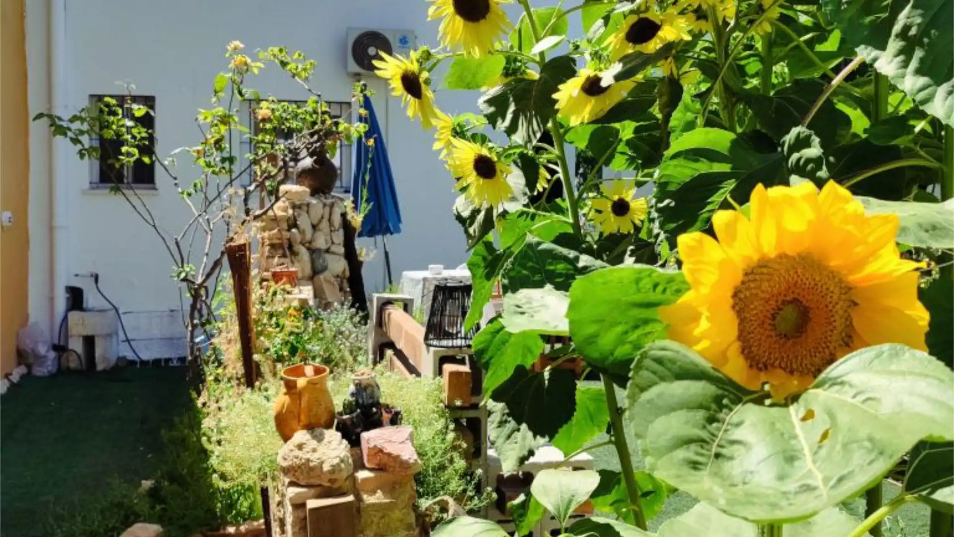 Chalet en  Calle María Nicolasa 9 - Foto 30