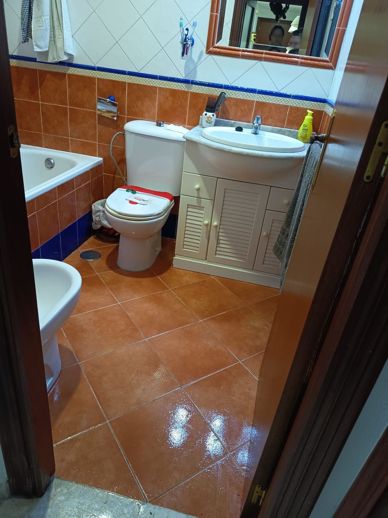 Piso en Puerta del Sur, 3, Puertas del sur - Guadabajaque - Foto 12