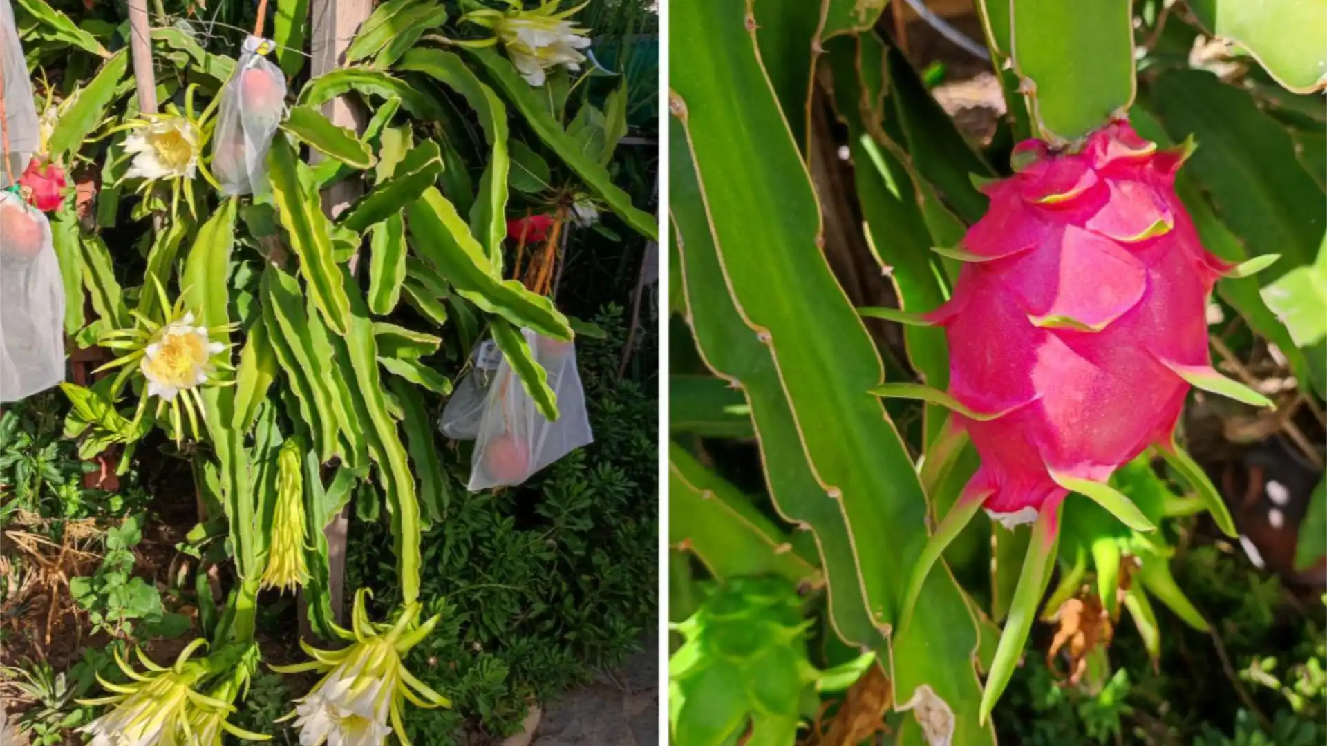 Casa adosada en  Calle Almería 64 - Foto 25