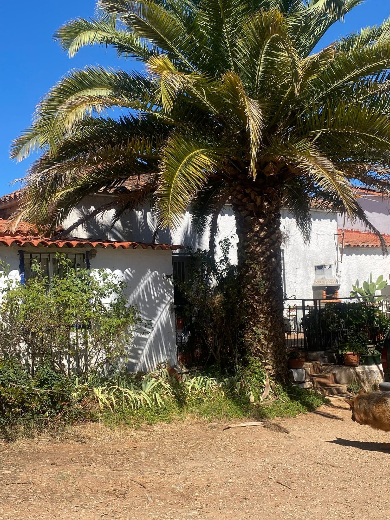 Finca rústica en Ex-205 s/n - Foto 17