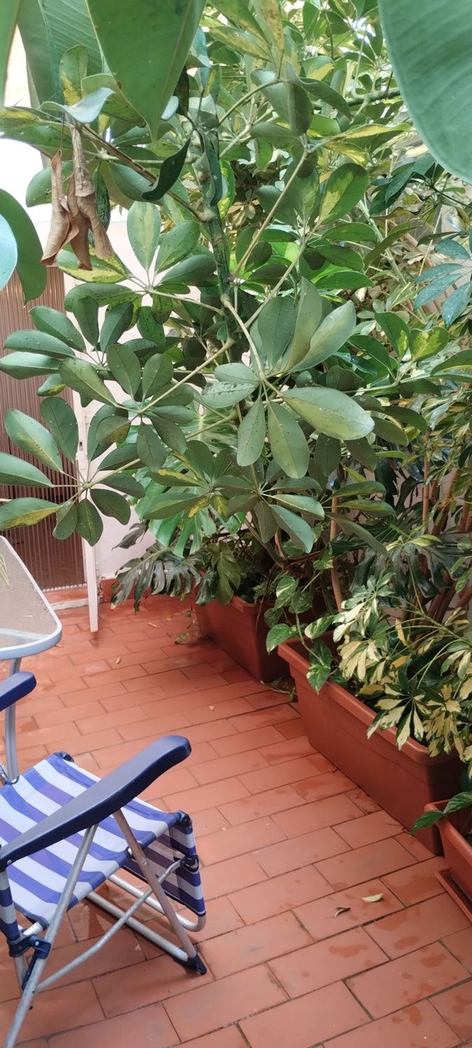 Estudio en Calle Duque de Rivas, 4 - Foto 21