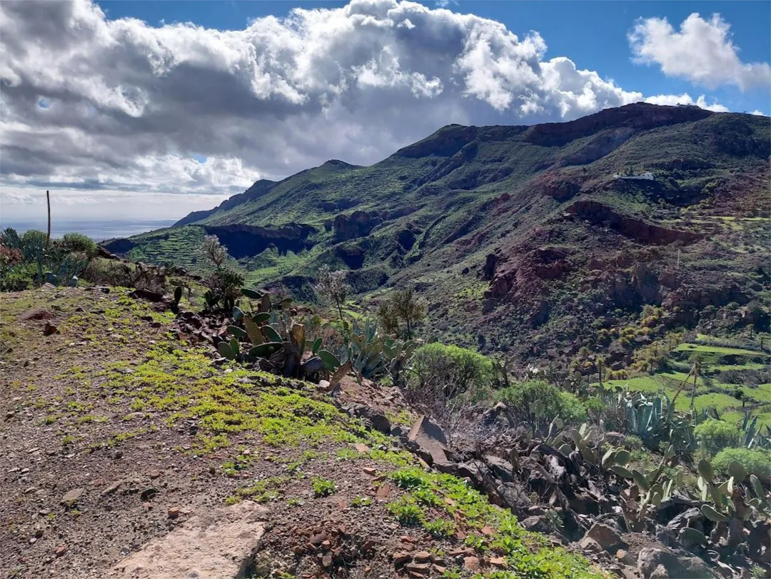 Finca rústica en calle Calle Espíritu Santo 15 - Foto 48