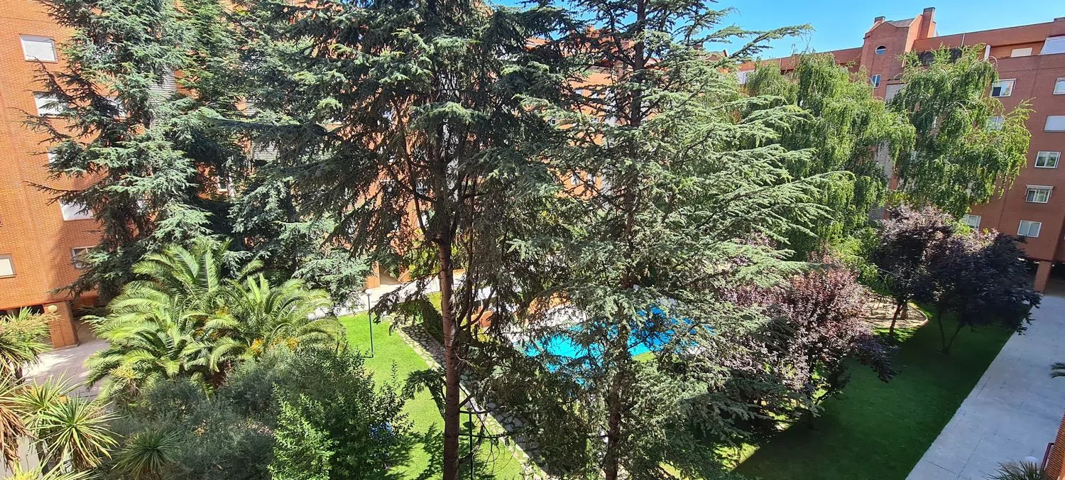Piso en de la Aurora, 19 - Foto 5