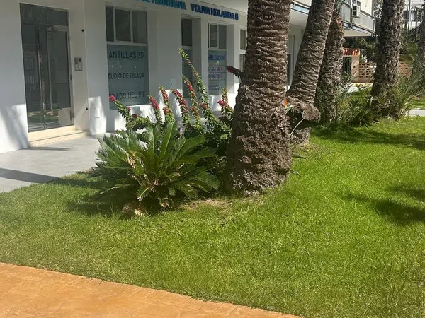 Piso en Avenida Holanda, 6, Playa de San Juan - Foto 31