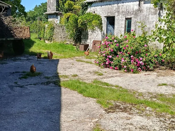 Casa de pueblo en Lugar Rozados, 27 - Foto 10