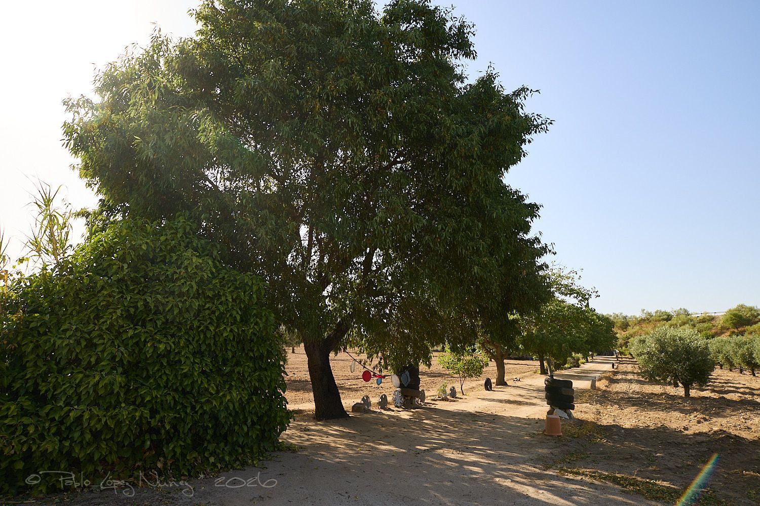 Finca rústica en Camino de la Mata s/n - Foto 9