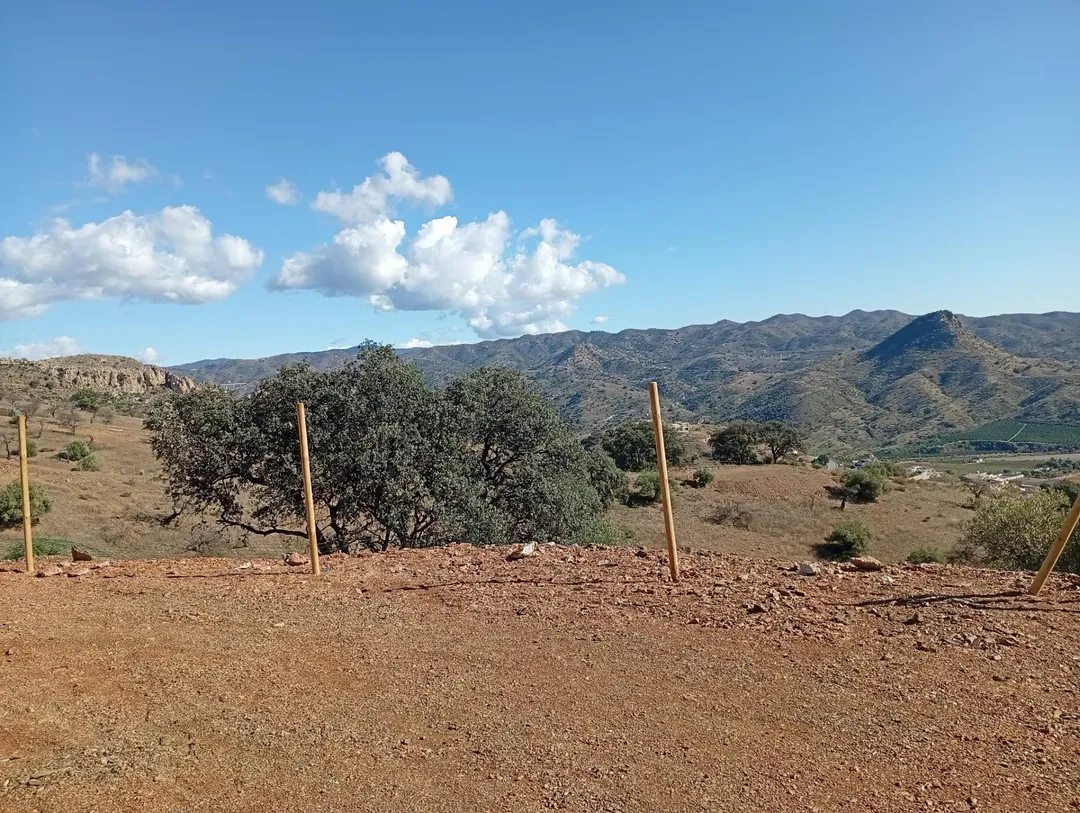 Finca rústica en  Diseminado R31 67 - Foto 1