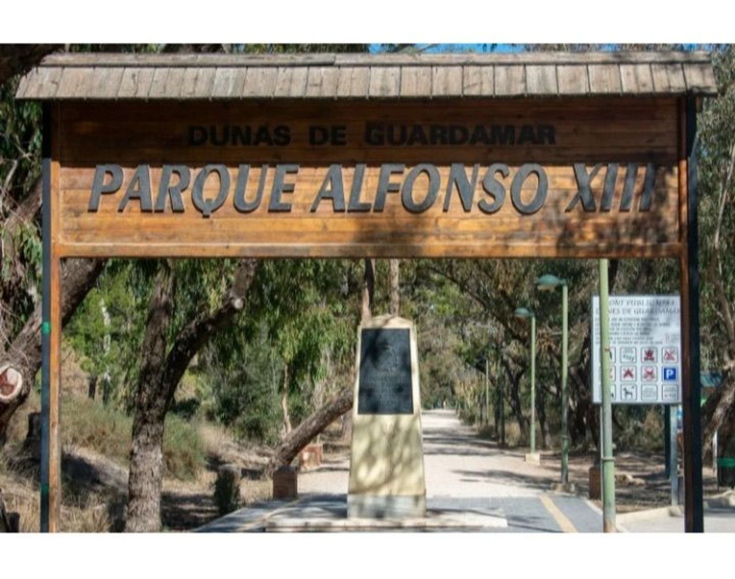 Piso en Calle Azorín, 22, Guardamar Playa, Guardamar Playa - Foto 10