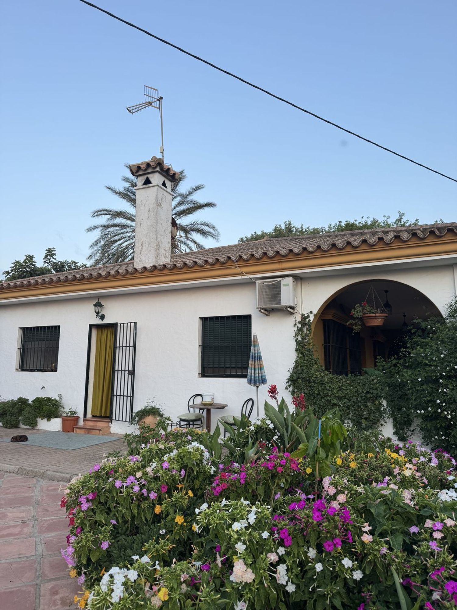 Casa o chalet independiente en Calle Constitucion, 1532, Chipiona norte, Chipiona norte - Foto 8