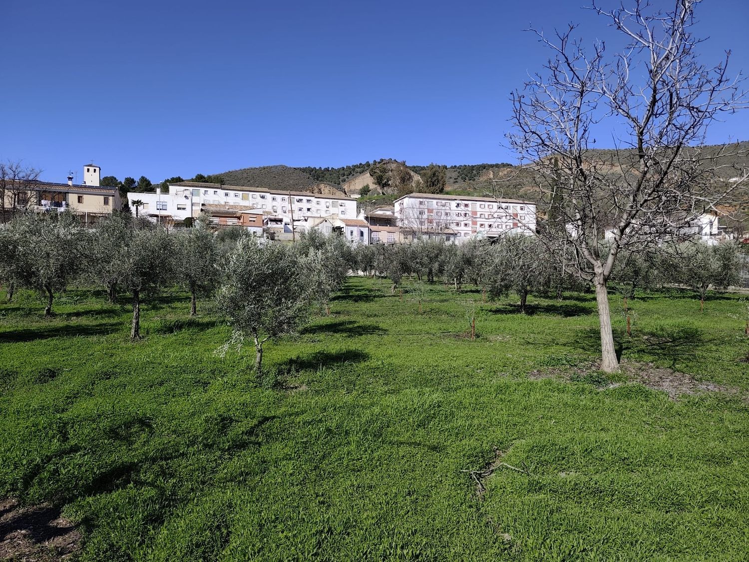 Casa independiente en carretera de la Sierra, 180 - Foto 35