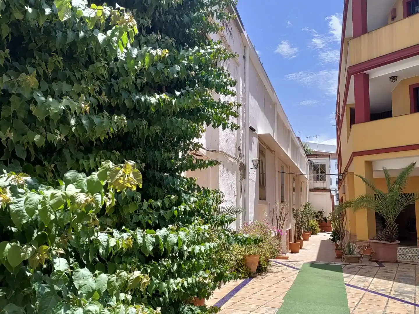 Apartamento en  Calle Crédito 1 - Foto 6