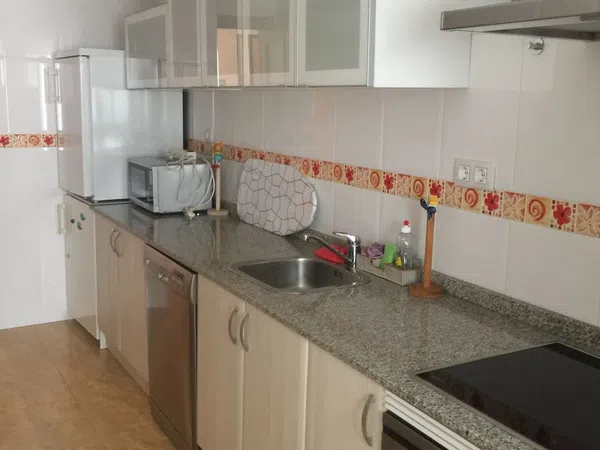 Piso en Barrio Zona Juan Carlos I - Avenida de Europa - Foto 18