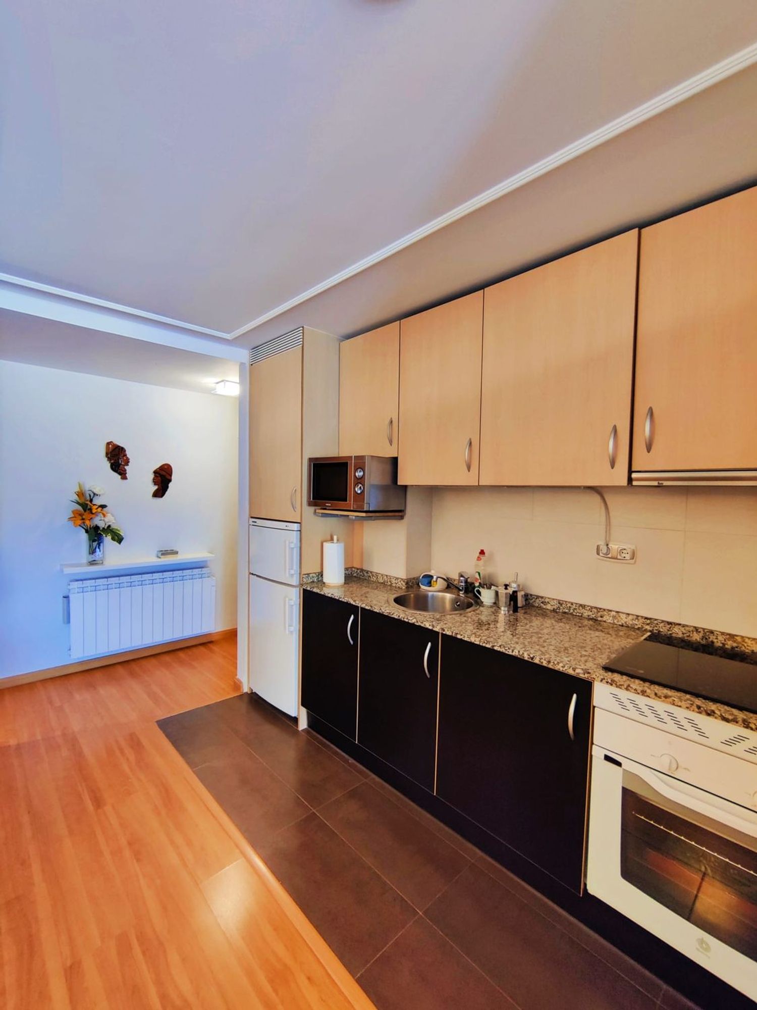 Estudio en Calle Amsterdam, 4, HUCA-La Cadellada - Foto 4