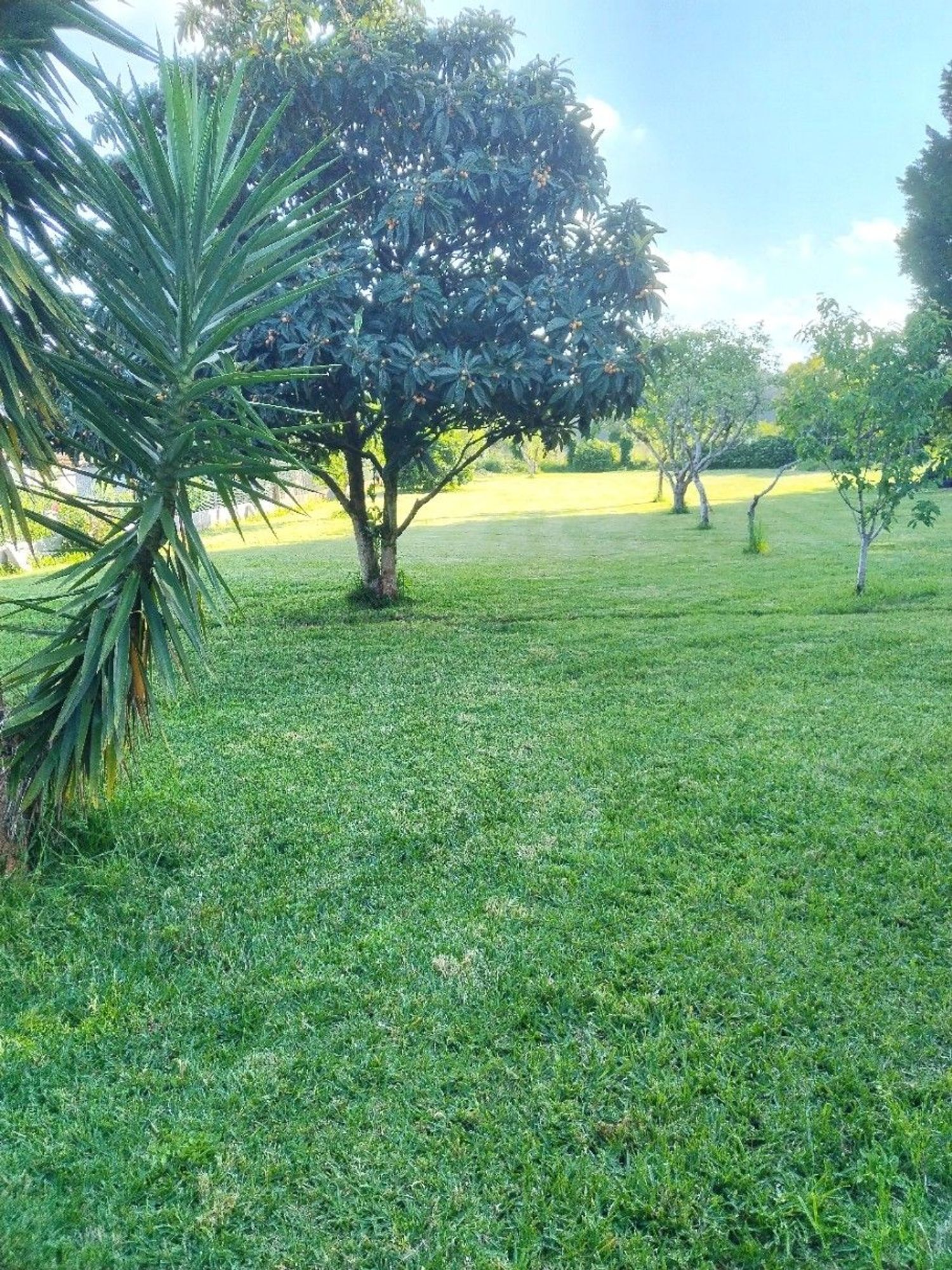 Casa o chalet independiente en Lugar a Gandariña, 15 a - Foto 18