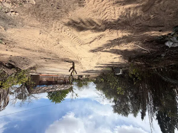 Finca rústica en Torre Tudela, 1, Pozo Estrecho, Pozo Estrecho - Foto 6