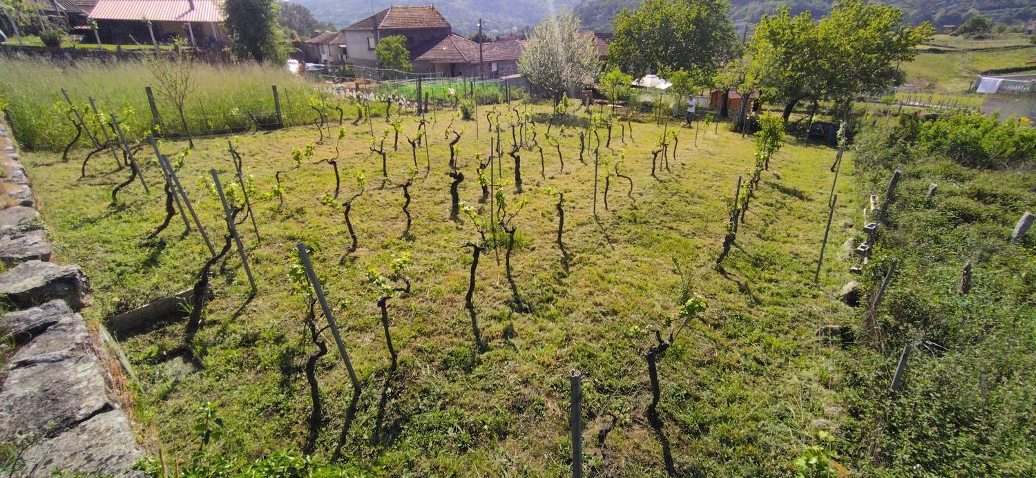 Casa de pueblo en Praza s/n - Foto 24