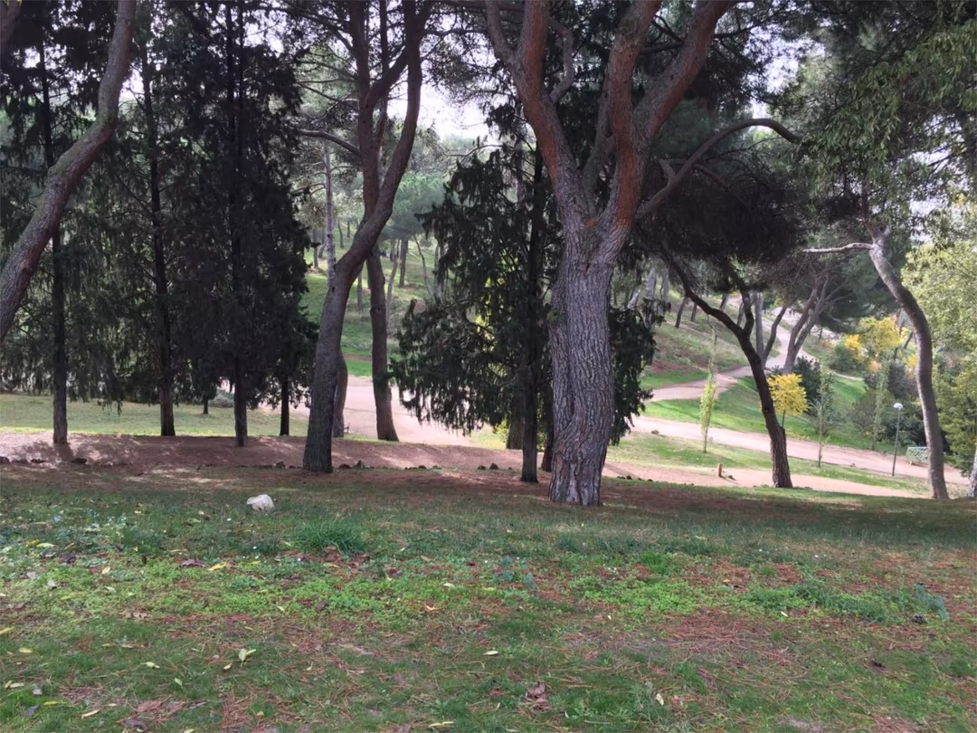 Piso en  Calle de Artajona 25 - Foto 25