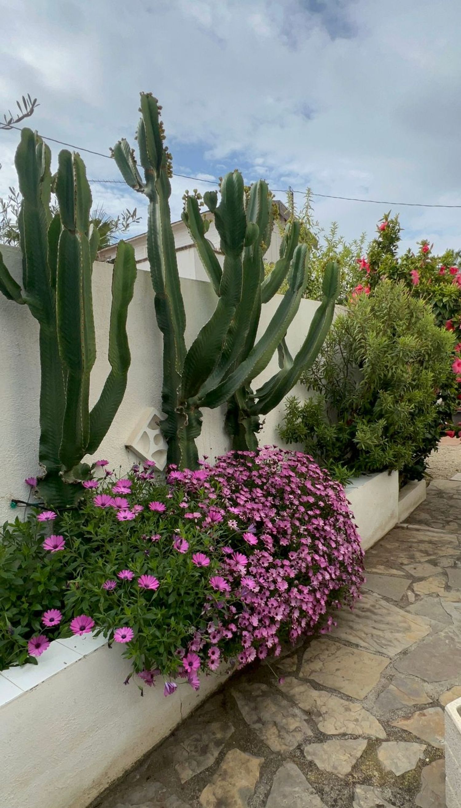 Casa o chalet independiente en Avenida de la Marina, 217, La Fustera, La Fustera - Foto 5
