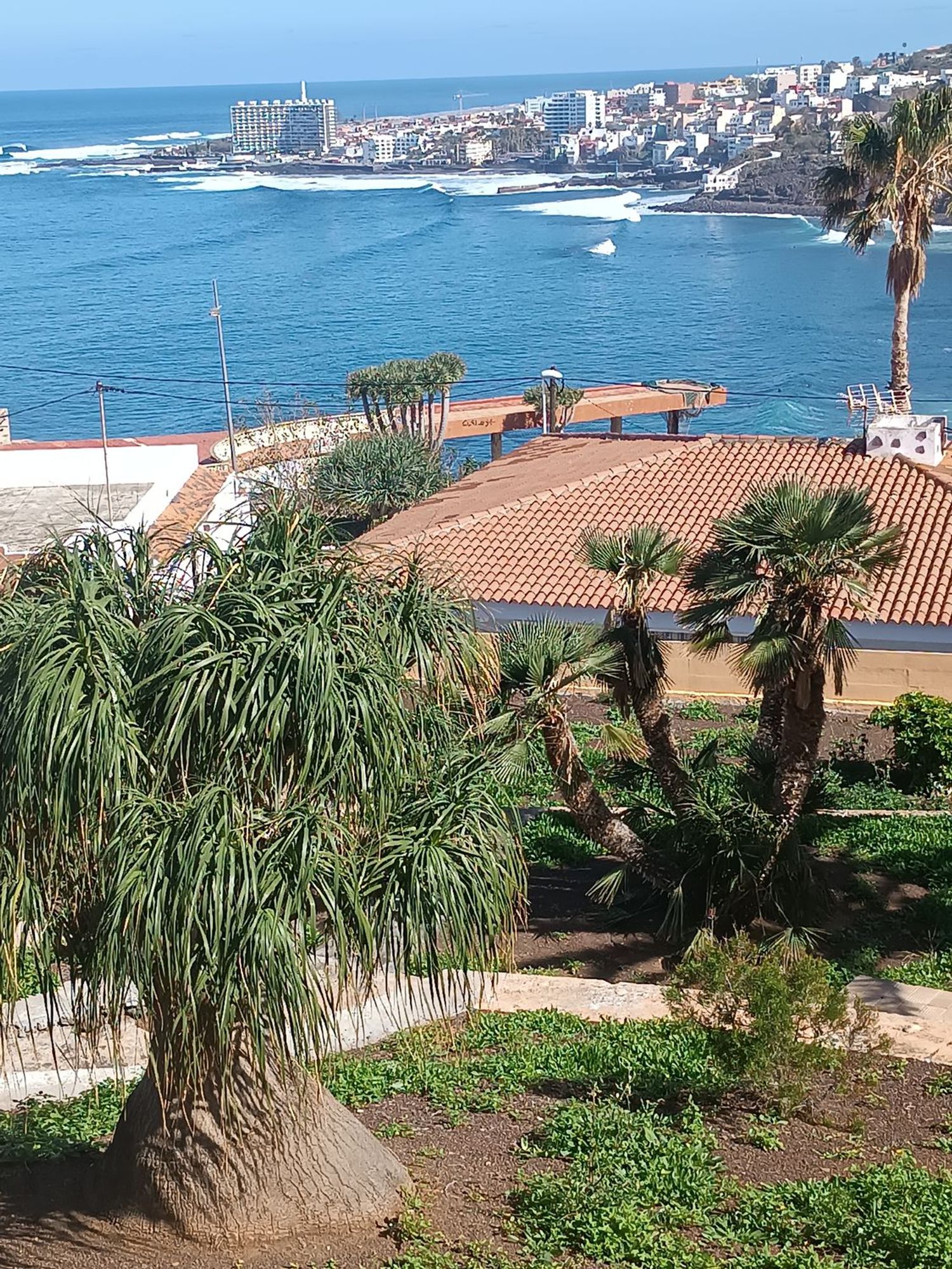 Casa o chalet independiente en Bajamar-Punta del Hidalgo, Bajamar-Punta del Hidalgo - Foto 18