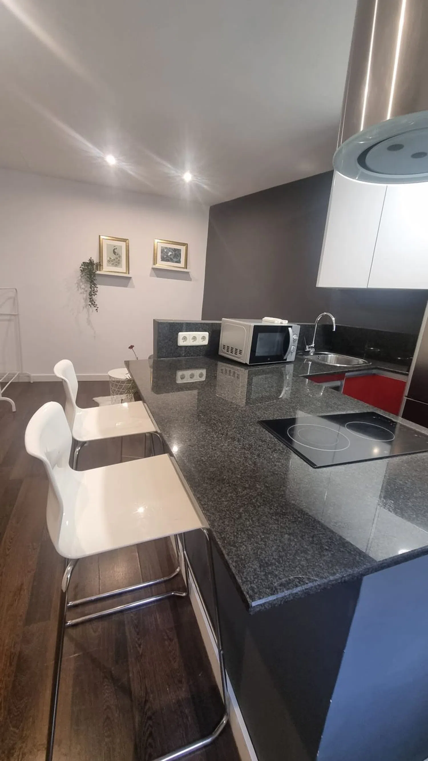 Estudio en calle Calvo Asensio, 10 - Foto 20