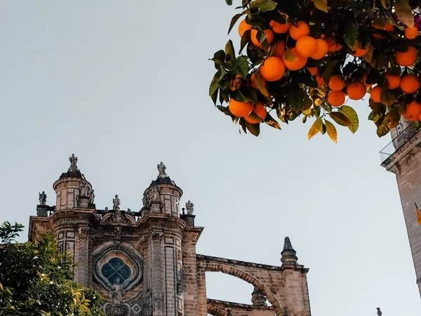 Piso en Barrio Centro - Foto 18