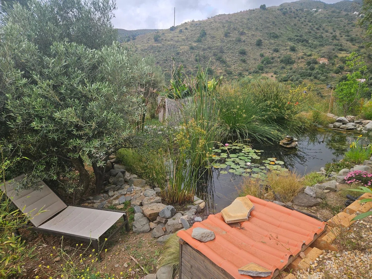 Finca rústica en Diseminado r 8, 57 - Foto 9